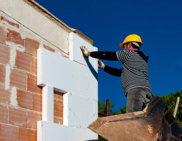 Best Wall Insulation Contractor  in James Island, SC