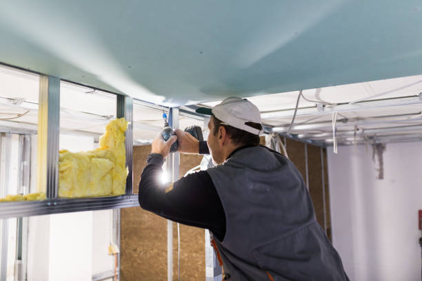 Best Garage Insulation Installation  in James Island, SC