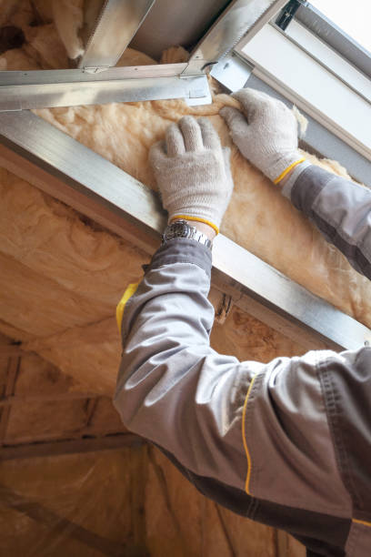 Best Soundproof Insulation Installation  in James Island, SC