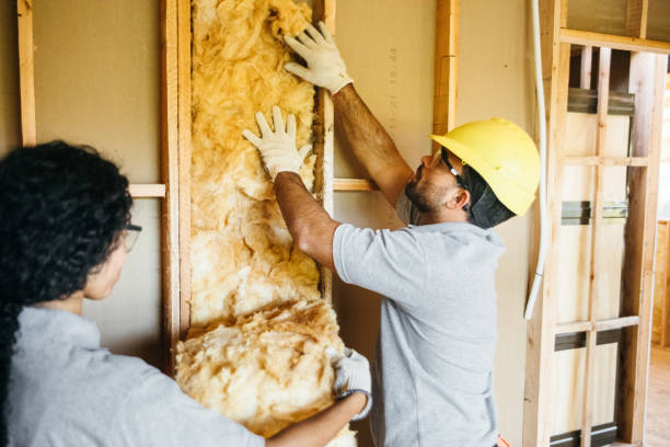 Insulation Contractors for Homes in James Island, SC