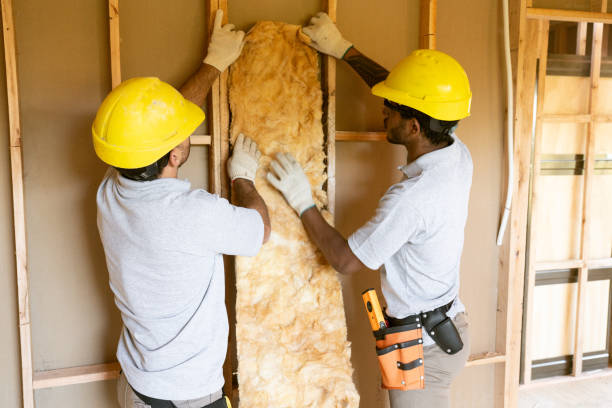 Best Insulation Contractor Near Me  in James Island, SC