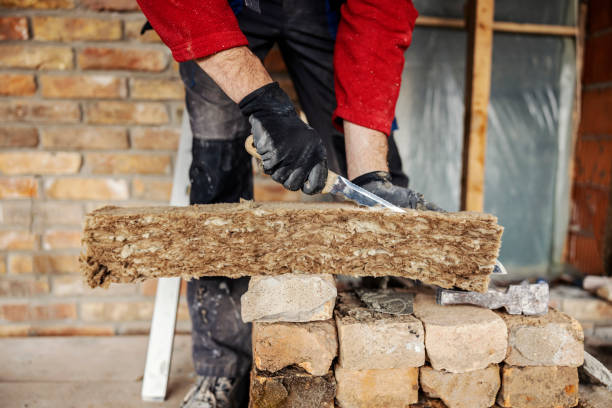 Best Cellulose Insulation  in James Island, SC