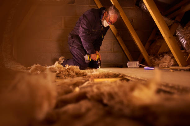 Best Crawl Space Insulation  in James Island, SC